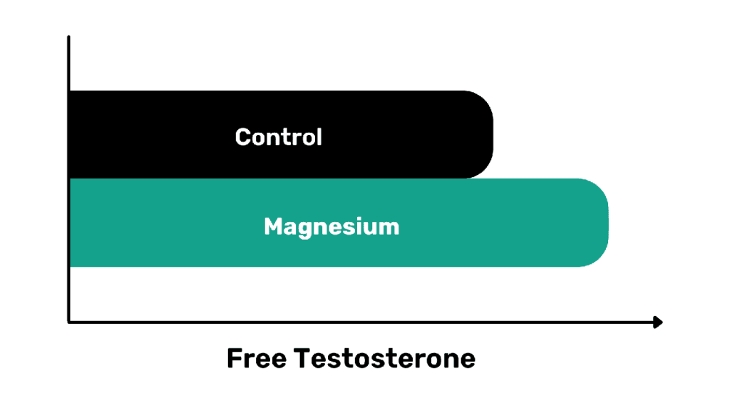 Infographic highlighting magnesium's role in regulating hormones and boosting testosterone levels naturally.